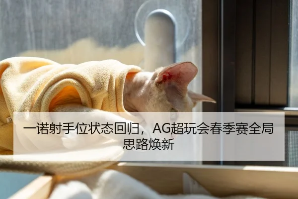 一诺射手位状态回归，AG超玩会春季赛全局思路焕新