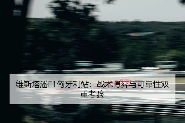 wei-si-ta-pan-xiong-ya-li-zhan-zhan-shu-bo-yi-yu-ke-kao-xing-shuang-chong-kao-yan-2-648.jpg