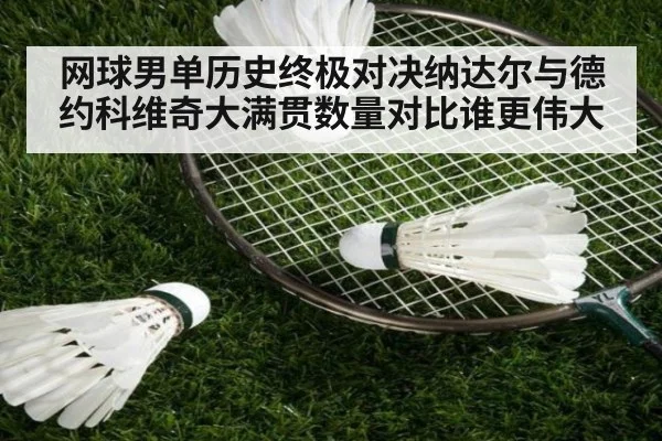 网球男单历史终极对决纳达尔与德约科维奇大满贯数量对比谁更伟大