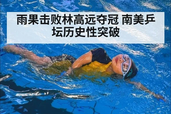 雨果击败林高远夺冠 南美乒坛历史性突破
